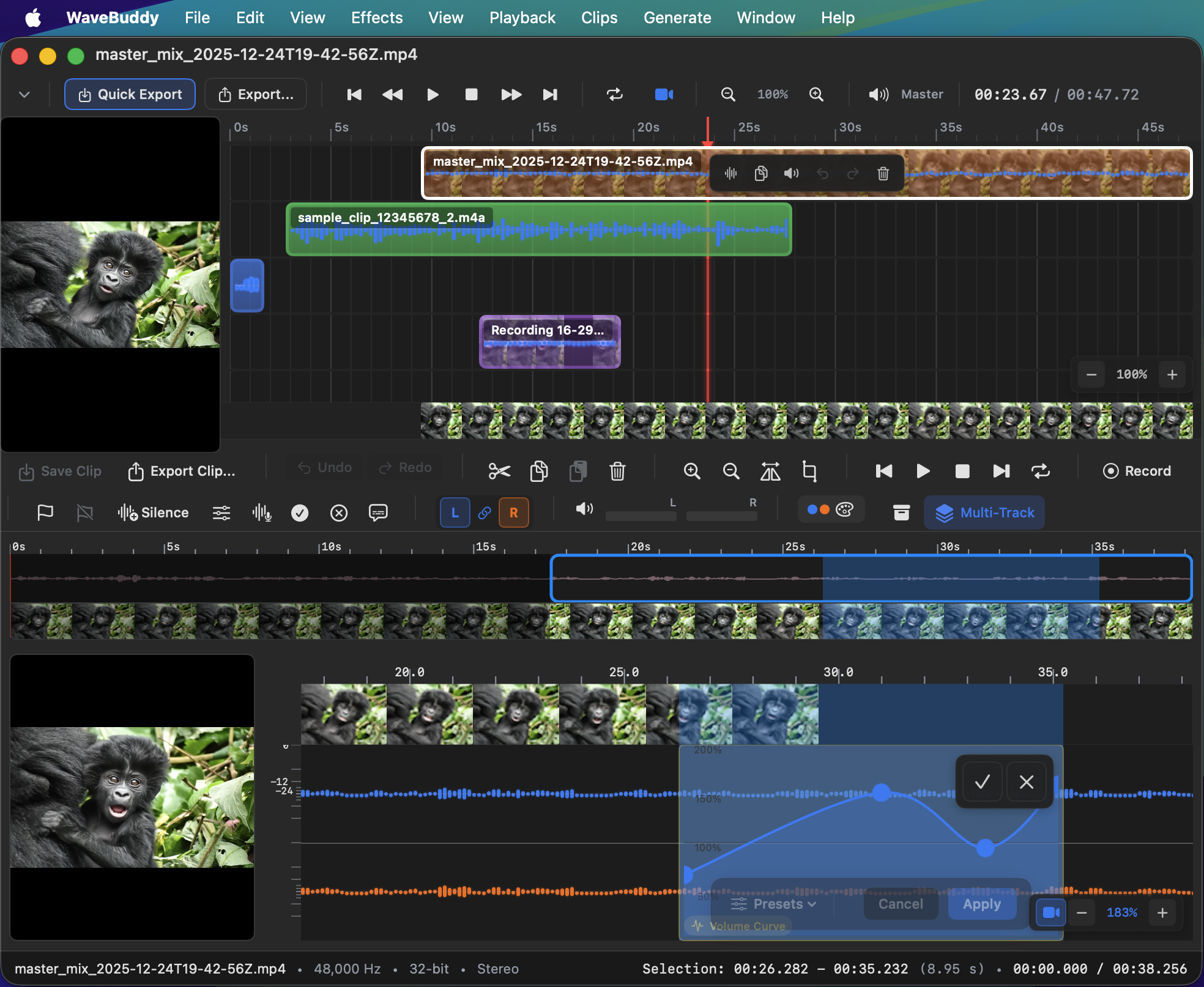 Multi-Track Timeline